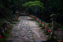 金剛輪寺,あじさい(DSCF6781,F2.8,XT1,FULL)2014yaotomi_.jpg