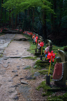 金剛輪寺,あじさい(DSCF6788,F7.1,XT1)2014yaotomi_.jpg