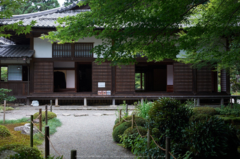 金剛輪寺,あじさい(DSCF6878,F4,XT1)2014yaotomi_.jpg