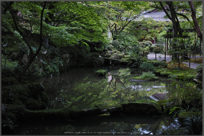 金剛輪寺,DP2quattro(SDIM0315,F3.2)2014yaotomi_Top.jpg