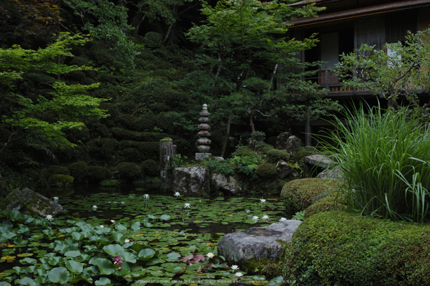 金剛輪寺,DP2quattro(SDIM0318,F4)2014yaotomi_.jpg