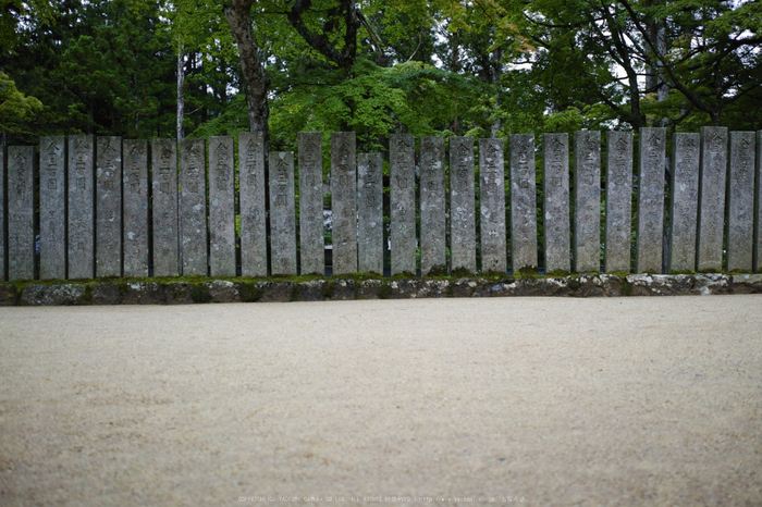 高野山,6月(SDIM0143,F2.8)2014yaotomi_.jpg