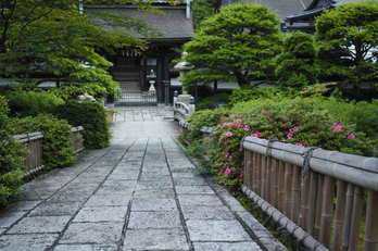 高野山,6月(SDIM0213,F2.8)2014yaotomi_.jpg