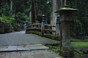 高野山,6月(SDIM0221,F2.8)2014yaotomi_.jpg