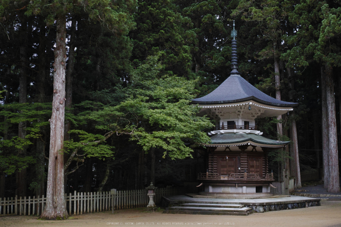 高野山.DP2,Quattro(SDIM0089,3.5)2014yaotomi_.jpg