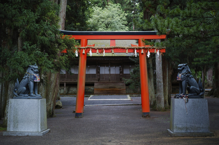 高野山.DP2,Quattro(SDIM0096,2.8)2014yaotomi_.jpg