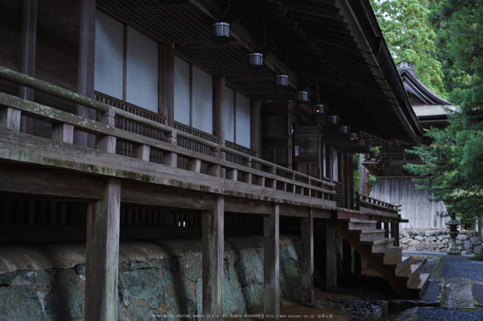 高野山.DP2,Quattro(SDIM0098,2.8)2014yaotomi_.jpg