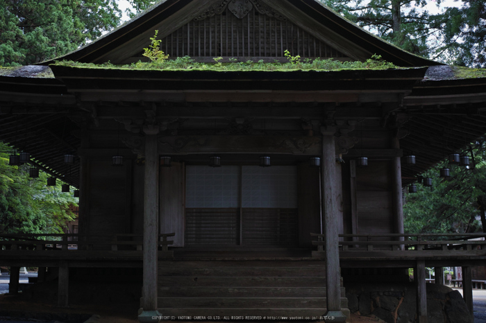 高野山.DP2,Quattro(SDIM0102,2.8)2014yaotomi_.jpg