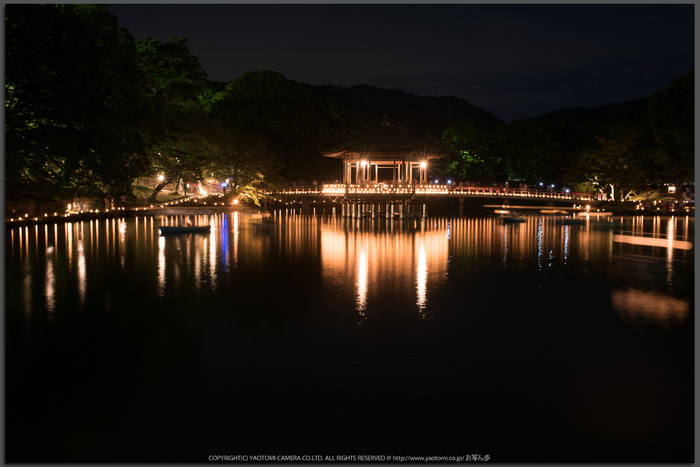 なら燈花会(DSC_1395,30.0-秒-(f---7.1),D810)2014yaotomi_Top.jpg