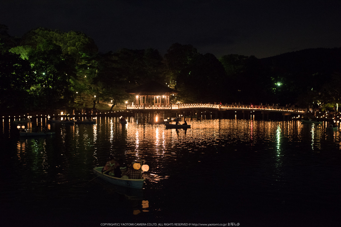 なら燈花会(DSC_1397,1-10 秒 (f - 2.8),D810)2014yaotomi_.jpg