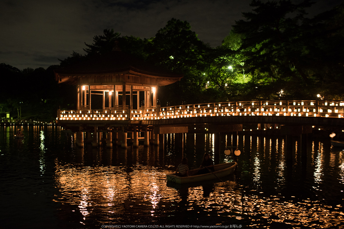 なら燈花会(DSC_1414,1-10 秒 (f - 2.2),D810)2014yaotomi_.jpg