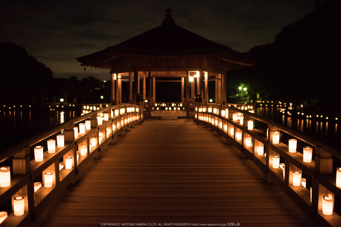 なら燈花会(DSC_1424,1-100 秒 (f - 1.8),D810)2014yaotomi_.jpg