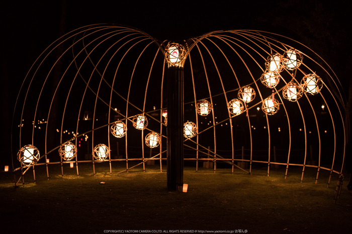 なら燈花会(DSC_1450,1-125 秒 (f - 2.0),D810)2014yaotomi_.jpg