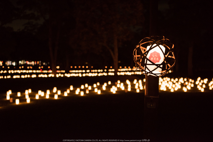 なら燈花会(DSC_1472,1-50 秒 (f - 1.8),D810)2014yaotomi_.jpg