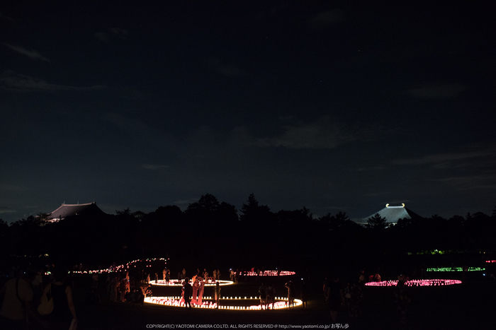 なら燈花会(DSC_1487,1-20 秒 (f - 2.2),D810)2014yaotomi_.jpg