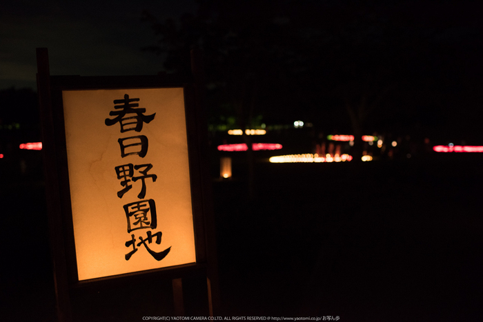 なら燈花会(DSC_1489,1-15 秒 (f - 2.2),D810)2014yaotomi_.jpg