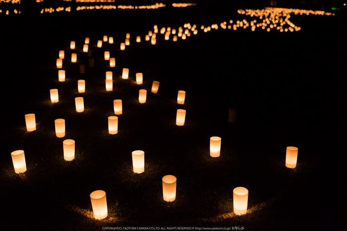 なら燈花会(DSC_1492,1-250 秒 (f - 2.2),D810)2014yaotomi_.jpg