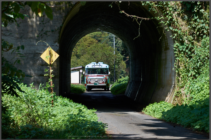 五新鉄道,ボンネットバス(DSCF7743,F8,86mm,Top)2014yaotomi_.jpg