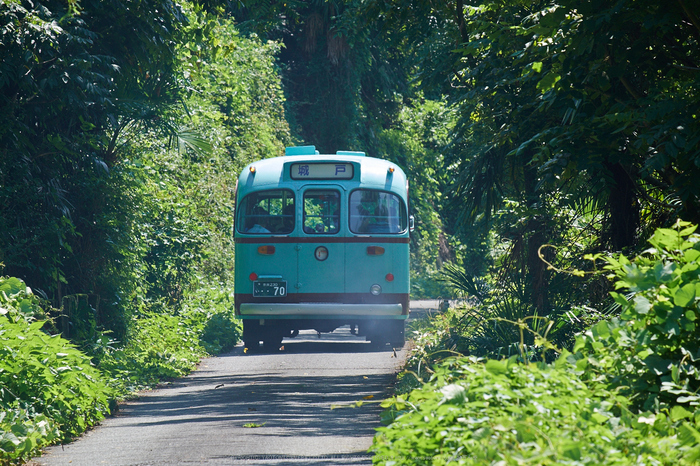 五新鉄道,ボンネットバス(DSCF7749,F8,172.4mm,XT1)2014yaotomi_.jpg