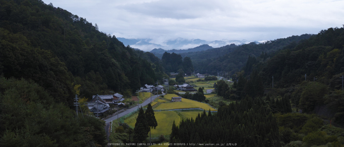 大宇陀,宮奥(SDIM0007_2,F7.1,dp2q)2014yaotomi_.jpg