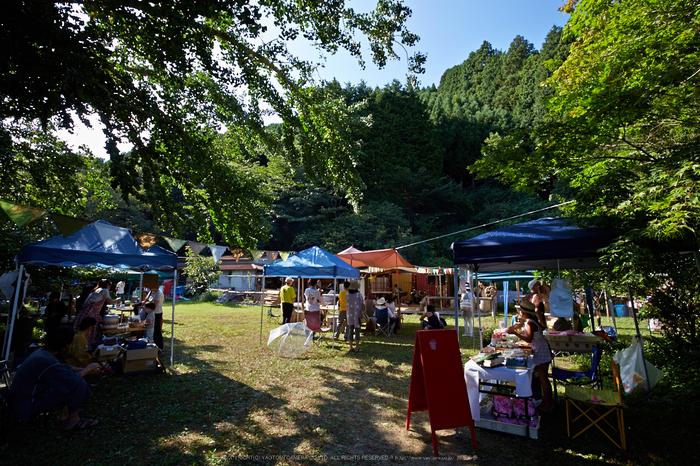 月うさぎ,花鳥風月(IMG_4286,16mm,iso100,6D)2014yaotomi_.jpg