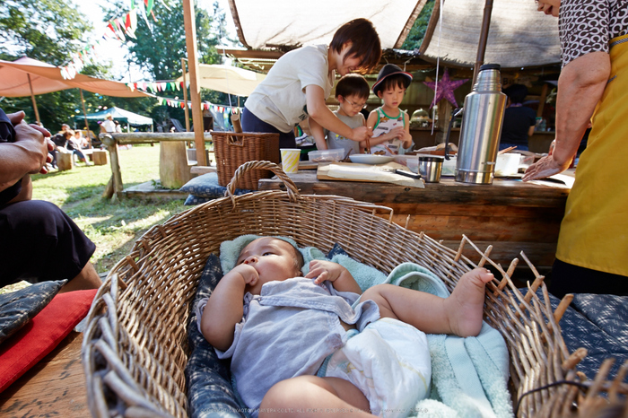 月うさぎ,花鳥風月(IMG_4348,16mm,iso125,6D)2014yaotomi_.jpg