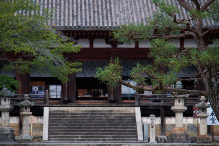 當麻寺,百日紅(DSCF7236,135mm,F5.6,XT1)2014yaotomi_.jpg