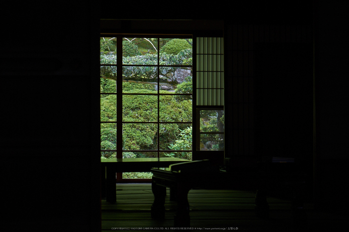 當麻寺,百日紅(DSCF7274,88.2mm,F9,XT1)2014yaotomi_.jpg