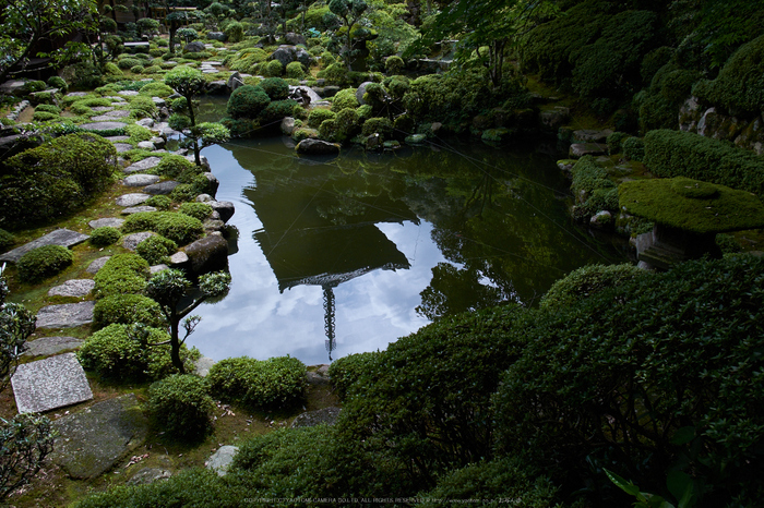 當麻寺,百日紅(DSCF7290,18.5mm,F8,XT1)2014yaotomi_.jpg