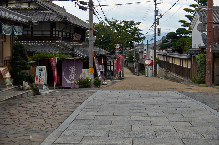 當麻寺,百日紅(DSCF7397,36.6mm,F4.5,XT1)2014yaotomi_.jpg