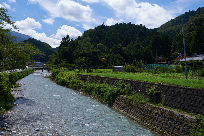 醒ヶ井,梅花藻(DSC_8875,35mm,F8,iso79,Df)2014yaotomi_.jpg