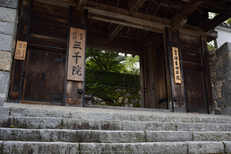 三千院,シュウカイドウ(DSC_0098,35mm,F5.6,D810)2014yaotomi_.jpg