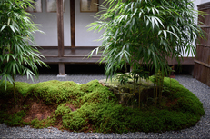 三千院,シュウカイドウ(DSC_0099,35mm,F2,D810)2014yaotomi_.jpg