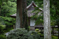 三千院,シュウカイドウ(DSC_0178,85mm,F2,FULL)2014yaotomi_.jpg