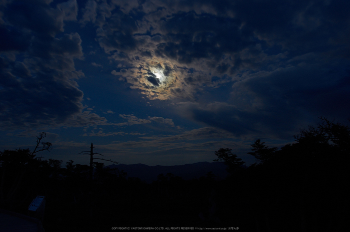 大台ケ原,9月(PK3_9817,F6.3,18mm,K3)2014yaotomi_.jpg