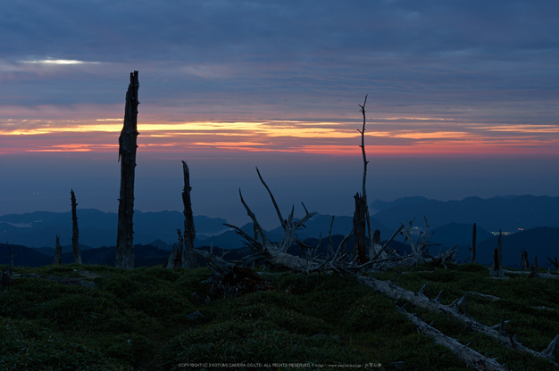 大台ケ原,9月(PK3_9837,F6.3,32mm,K3)2014yaotomi_.jpg