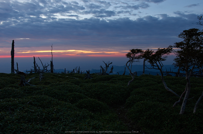 大台ケ原,9月(PK3_9842,F6.3,18mm,K3)2014yaotomi_.jpg