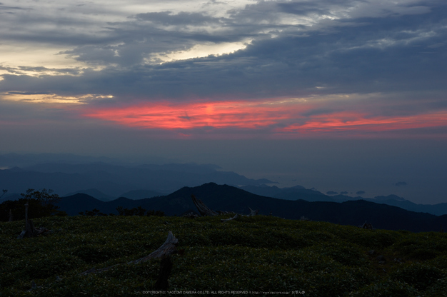 大台ケ原,9月(PK3_9850,F8,35mm,K3)2014yaotomi_.jpg