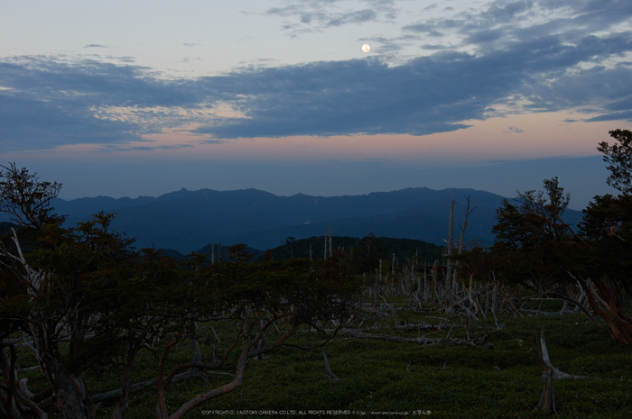 大台ケ原,9月(PK3_9854,F8,28mm,K3)2014yaotomi_.jpg