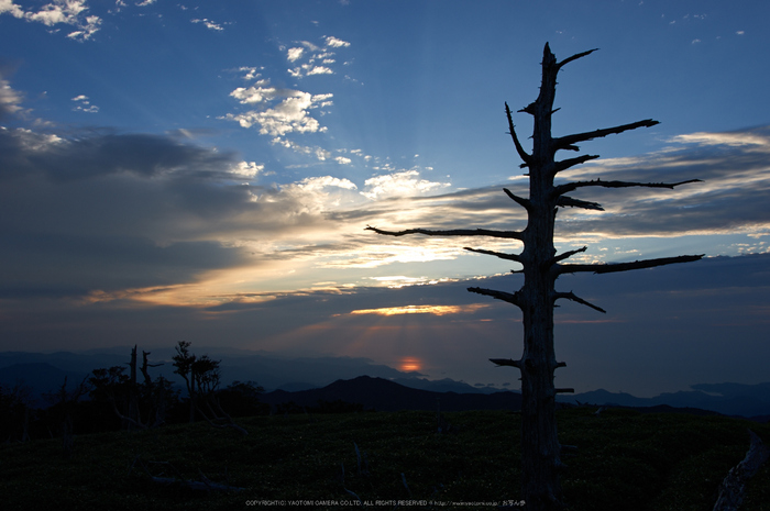 大台ケ原,9月(PK3_9871,F8,18mm,K3)2014yaotomi_.jpg