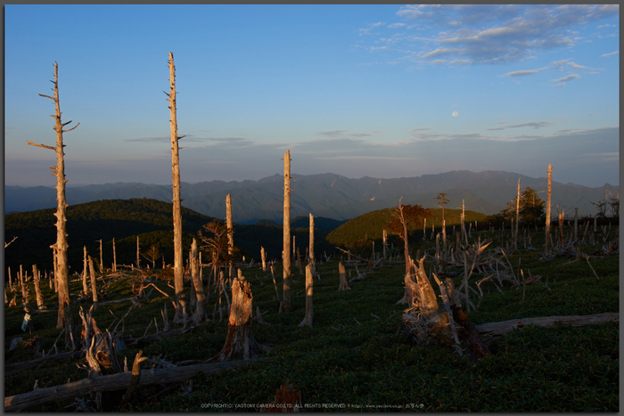 大台ケ原,9月(PK3_9879,Top)2014yaotomi_.jpg