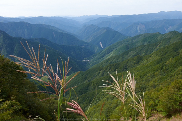 大台ケ原,9月(PK3_9983,F9,18mm,K3)2014yaotomi_.jpg