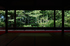 宝泉院,秋海棠(DSC_0035,35mm,F6.3,FULL)2014yaotomi_.jpg