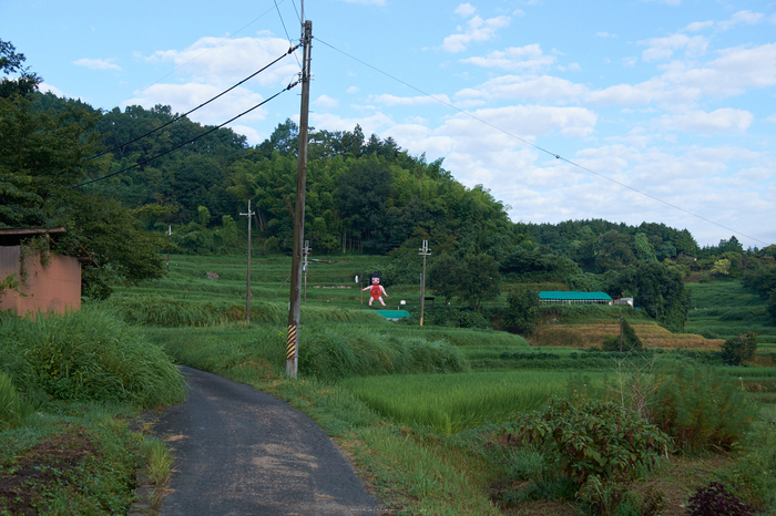 明日香,稲渕(DSCF7484,36.6mm,F8,XT1)2014yaotomi_.jpg