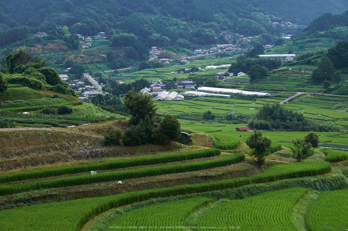 明日香,稲渕(DSCF7524,46.6mm,F9,XT1)2014yaotomi_.jpg