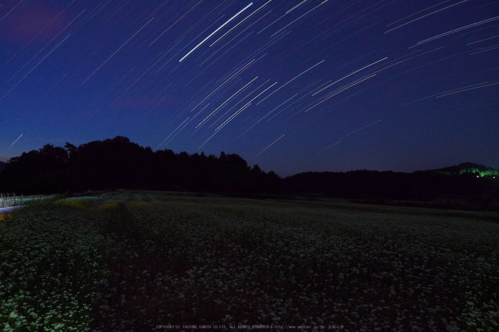 桜井,笠,そば畑(P9170006,12mm,F5,EM1)2014yaotomi_.jpg