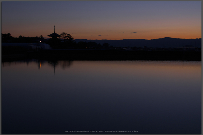 法起寺,コスモス(IMGP0275,KS1,TOP)2014yaotomi_.jpg