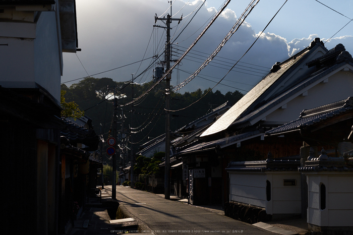 飛鳥光の回廊(DSCF7904,56mm,F5,iso200,XT1)2014yaotomi_.jpg