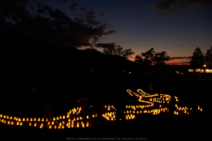 飛鳥光の回廊(DSCF7926,18mm,F5,iso800,XT1)2014yaotomi_.jpg