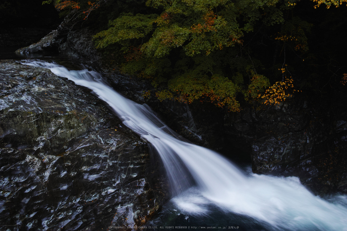 みたらい渓谷,紅葉(DP1Q0225,F14,dp1Q)2014yaotomi_.jpg